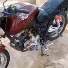 دباب