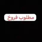 مطلوب فروخ كنيور - كويكر - روز ( الرياض فقط)