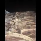 للبيع مسح صندق شليخ ومبروح