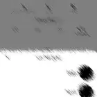 حساب يوزر رباعي ممتاز (q31o)