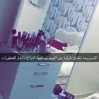 غرفه نوم 1800فقط