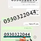 عقود ايجار حساب المواطن والضمان المطور