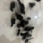 مفتشه خبره سنين بالرياض