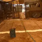 محل طيور ودواجن للبيع
