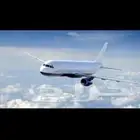 حجز رحلات طيران تابي و تمار و كاش بأقل الاسعار
