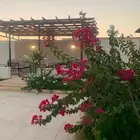 استراحة سما