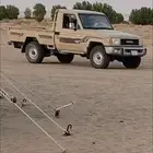 شاص
