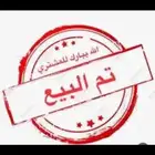 صوص بلدي
