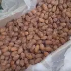 تمر خلاص طيب انتاج 1447ه