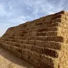 تبن بر