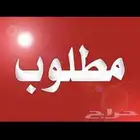 مطلوب شقه صغيره يكون الايجار من 15 الف وتحت عائلة