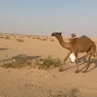 للبيع مفروده
