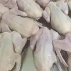 حمام زاجل وفرنسي بأقل الاسعار