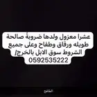 للبيع ضروبه وضحا