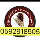 ذبايح