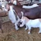 سوق غرب الرياض