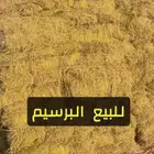 برسيم