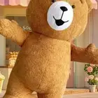 ابي شخصية كرتونيه تنكريه دب