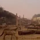 للبيع سواكنيه متبع خصم