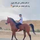 حصان سبوق و محقق ثلاث كسبات الاول و جاهز لا اقرب سباق