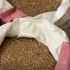 للبيع قمح عضوي مشروط من مزرعة خاصة بدون اي إضافات