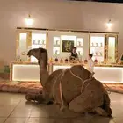 ضيافات رجال