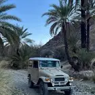 ربع