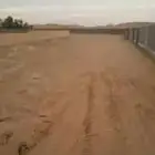 حوش القوزين مساحه 1800