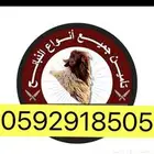 ذبايح