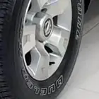 للبيع جنوط فتك اصلي وكاله