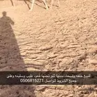 للبيع خلفه وضحا سنها ثنو تحتها قعود وسليمه وعلى جميع الشروط
