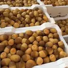 روثانه درجه اولى شرط توها واصله وعندي توصيل وماقصر معكم