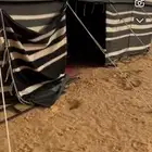 بيت شعر اسود