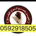 ذبايح