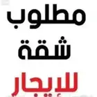 مطلوب شقة عزاب