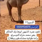 قعود على الحاكم طيب حدت