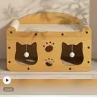 بيت قط