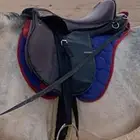 للبيع سرج ستيتوس مع لباده
