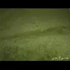 نجيله -عشب صناعي