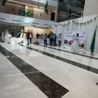 تنسيقات كوش