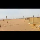 شبك غنم مراح غنم زربة غنم