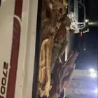 شليخ الموقع الخرمة حملة غمارة