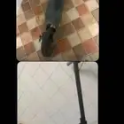 سكوتر للبيع ب50.