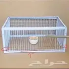 شبك مصيدة حمام