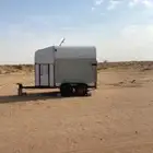 عربة خيل لنقل الخيل