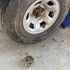 جنوط