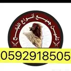ذبايح