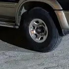 جنوط فتك اصليات