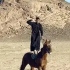 خيل شعبي