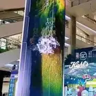 شاشات دعائية